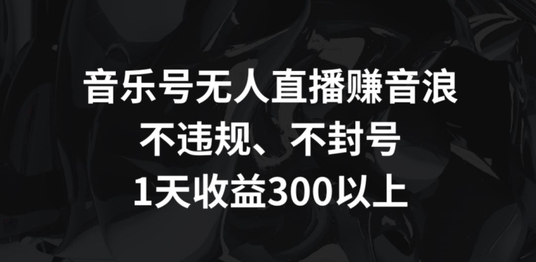 音乐号无人直播赚音浪，不违规、不封号，1天收益300+【揭秘】-第一资源库