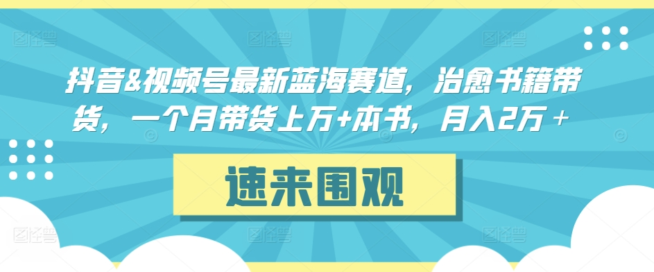 抖音&视频号最新蓝海赛道，治愈书籍带货，一个月带货上万+本书，月入2万＋【揭秘】-第一资源库