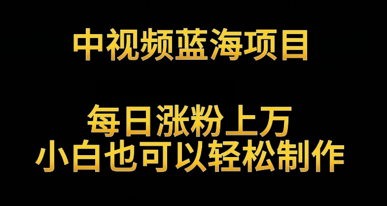 中视频蓝海项目，解读英雄人物生平，每日涨粉上万，小白也可以轻松制作，月入过万不是梦【揭秘】-第一资源库