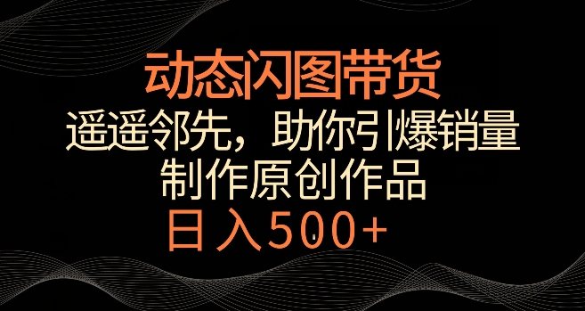 动态闪图带货，遥遥领先，冷门玩法，助你轻松引爆销量，日赚500+【揭秘】-第一资源库